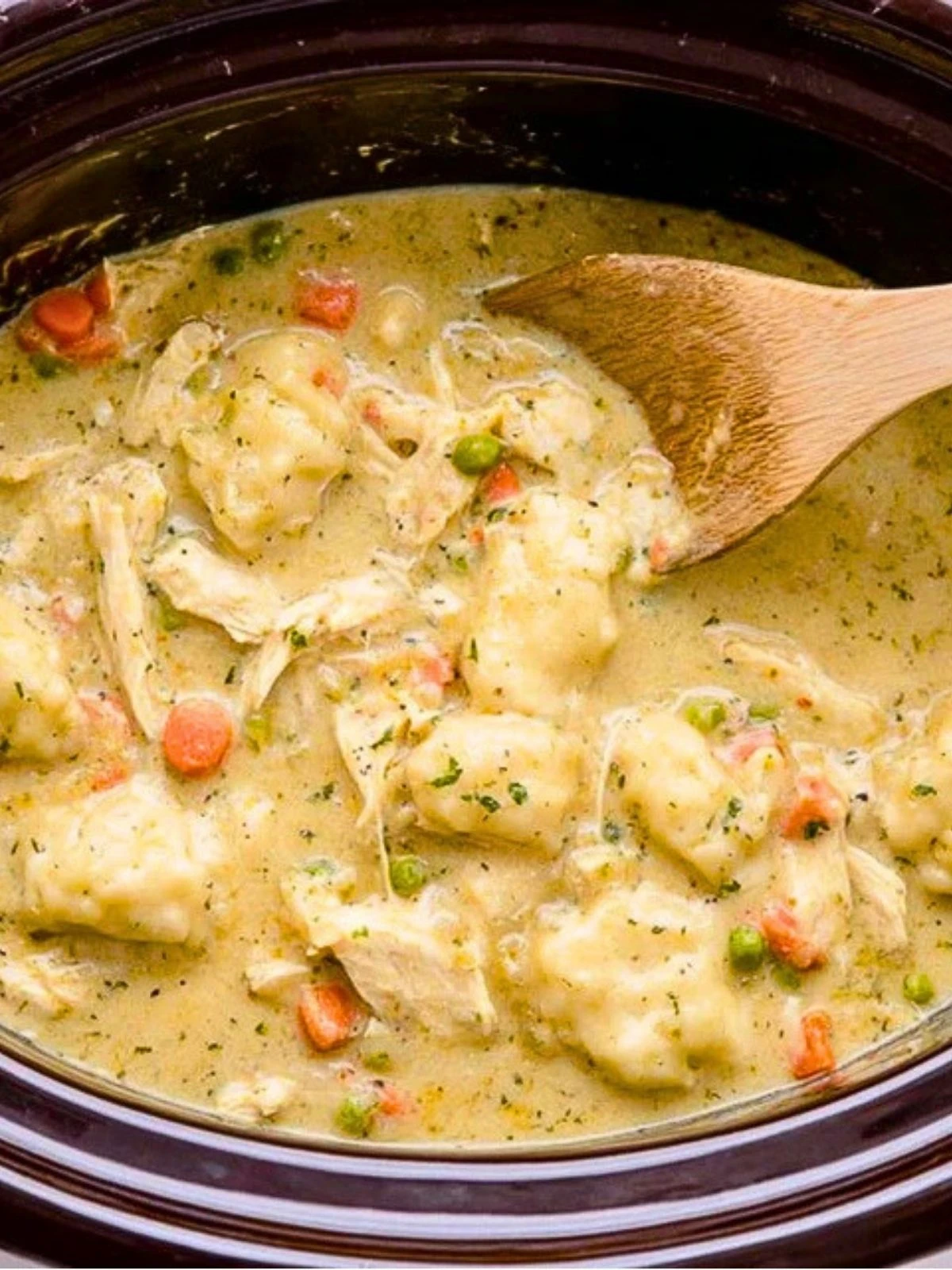 Crockpot Chicken and Dumplings (1)