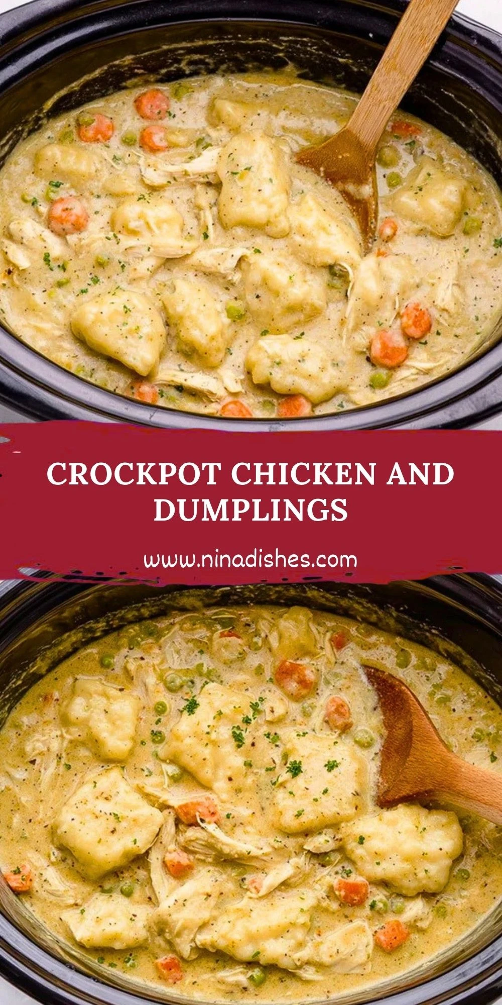 Crockpot Chicken and Dumplings (2)