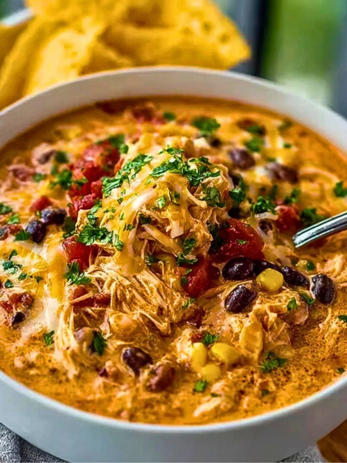 Classic Slow Cooker Crack Chicken Chili (1)