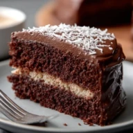 Moist Chocolate Coconut Cake with Chocolate Frosting