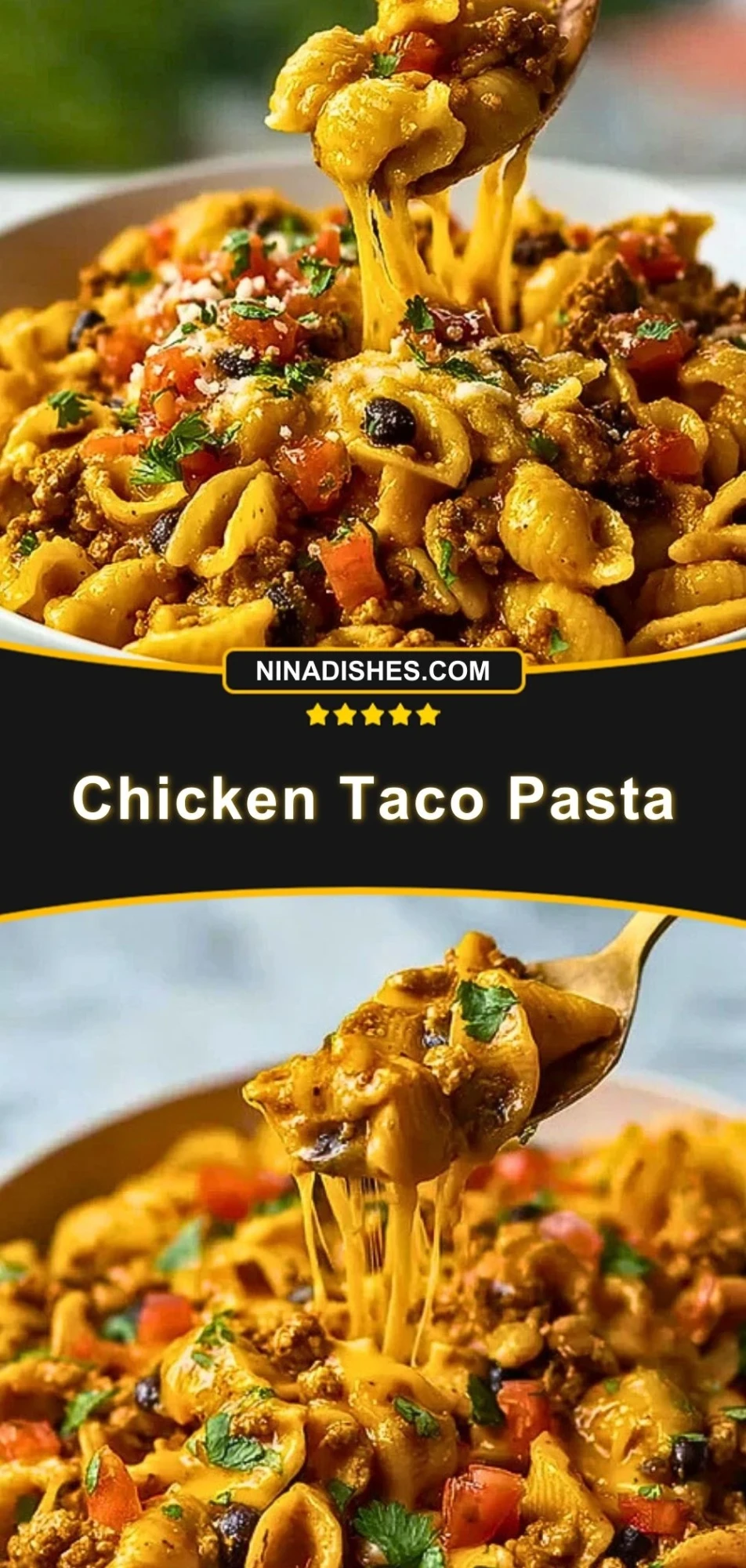 Chicken Taco Pasta (3)