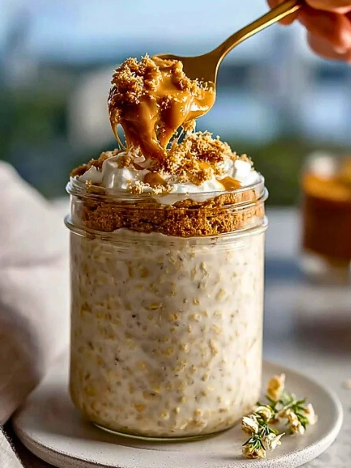 Quick Biscoff Overnight Oats (1)