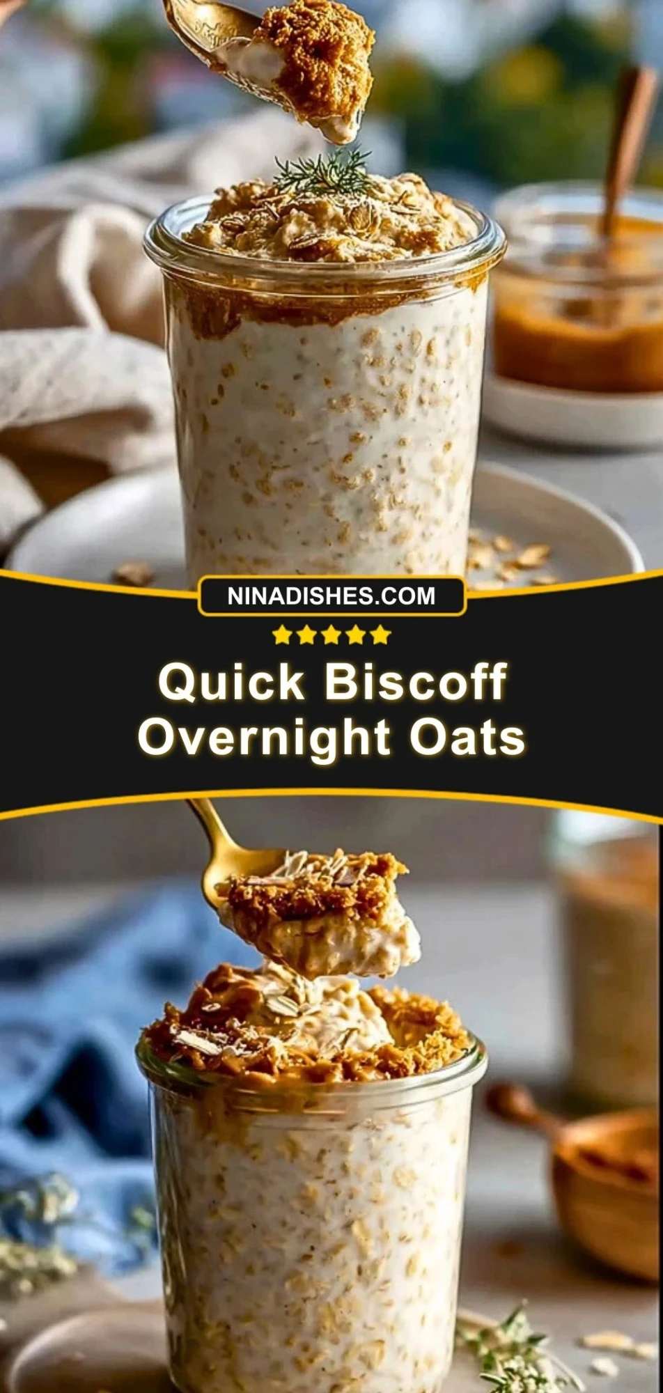 Quick Biscoff Overnight Oats (3)