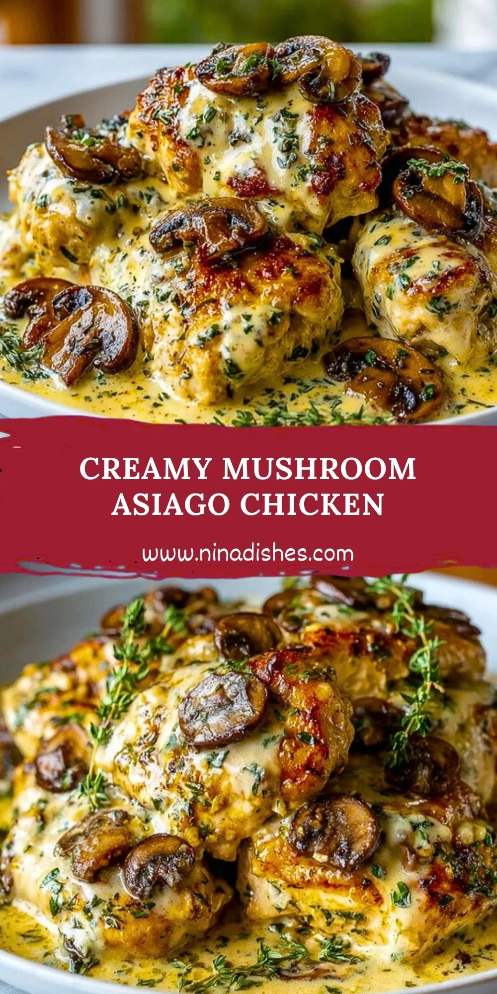 Creamy Mushroom Asiago Chicken (2)