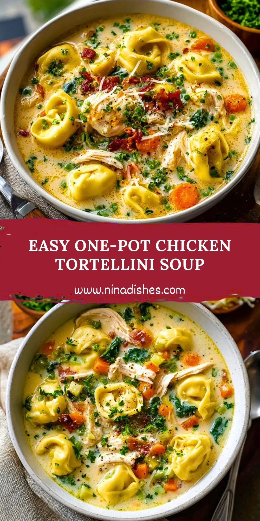 Easy One-Pot Chicken Tortellini Soup (2)