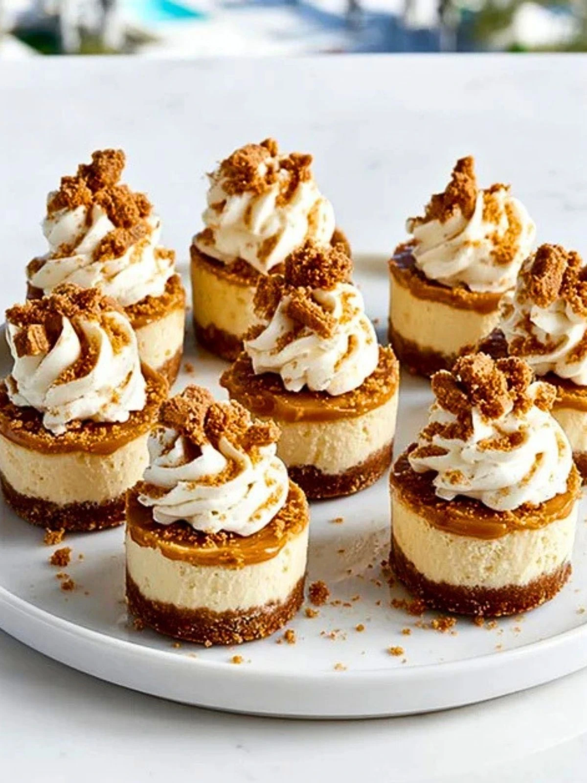 Mini Biscoff Cheesecake Bites (1)