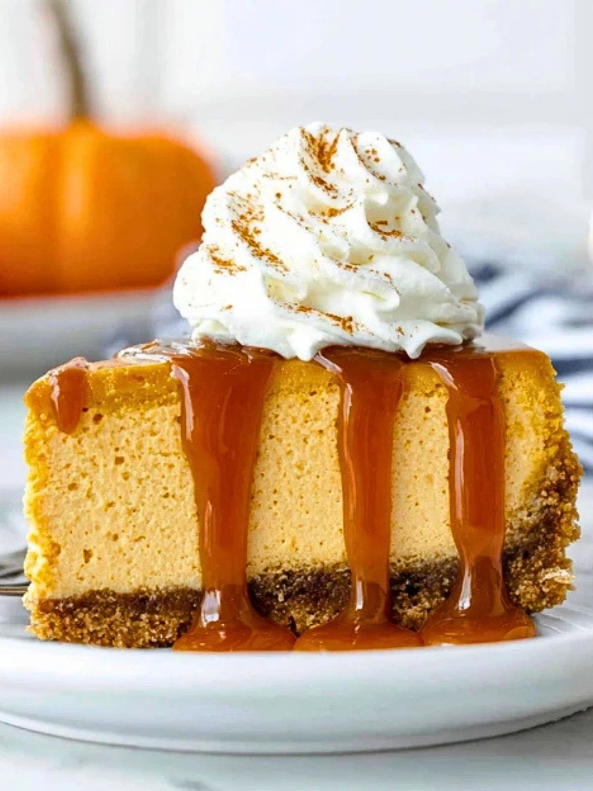 No Bake Pumpkin Cheesecake (1)
