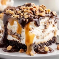 No-Bake Turtle Lasagna Dessert