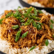 Honey Garlic Chicken and Rice