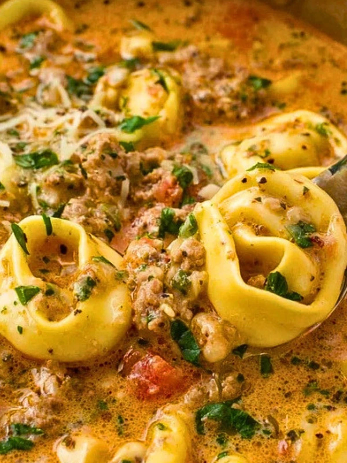 Tortellini Soup (1)