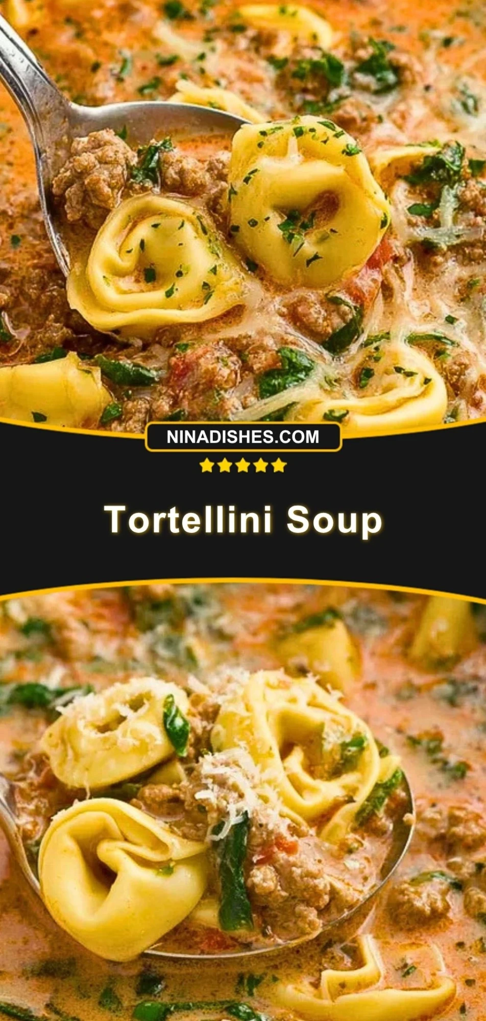Tortellini Soup (3)