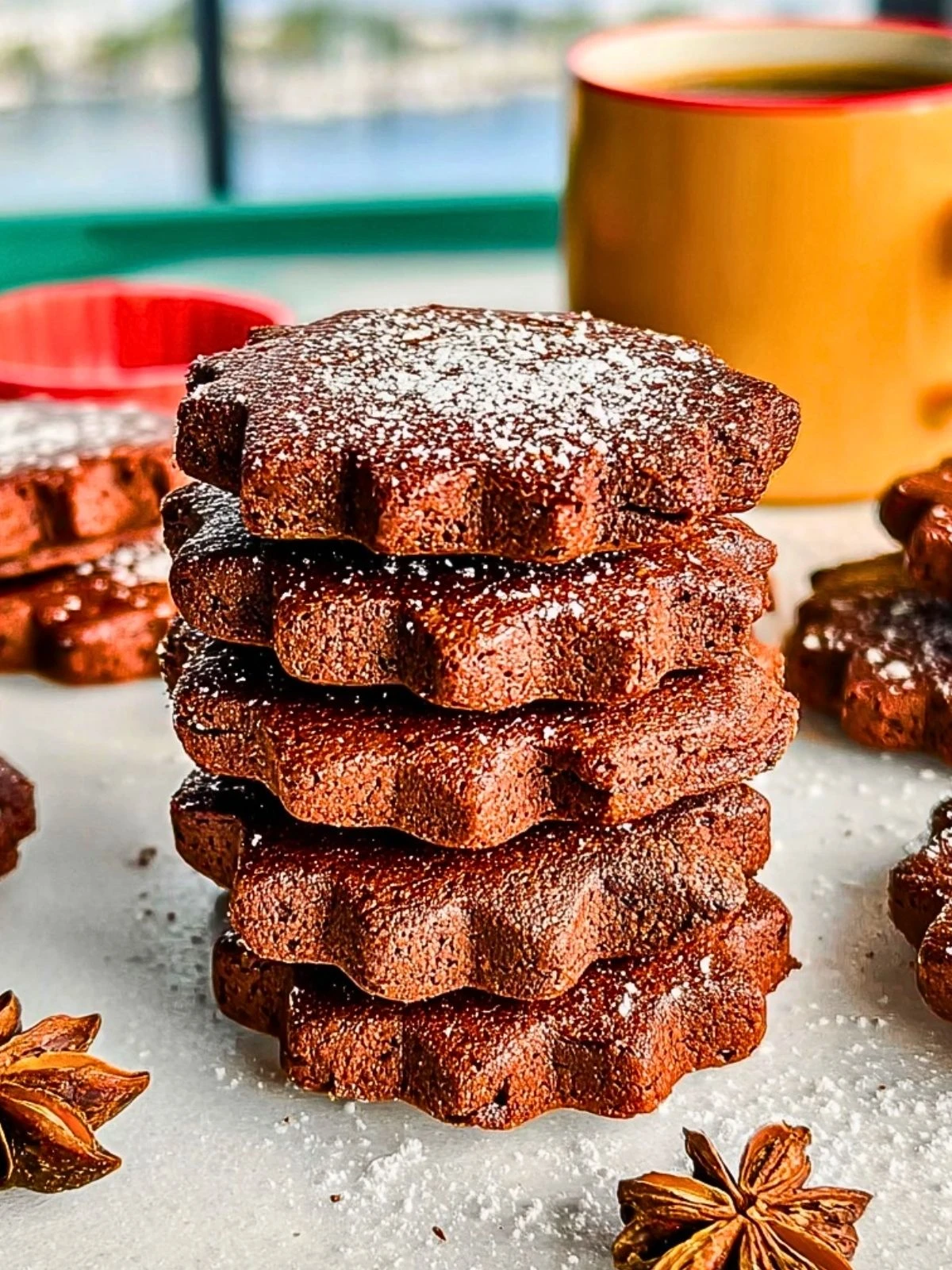 Mexican Chocolate Shortbread Cookies (1)