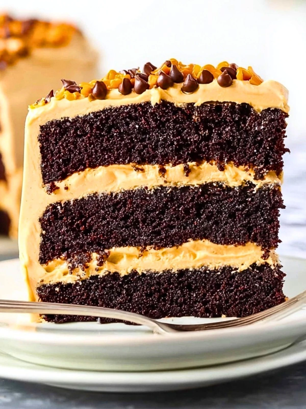Peanut Butter Cake (1)