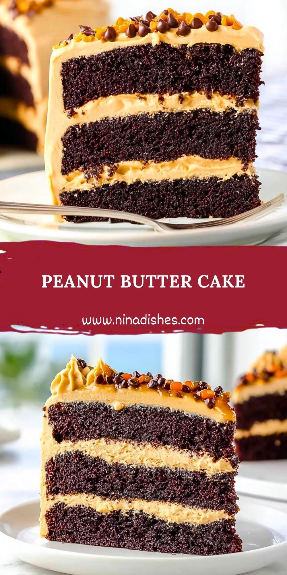 Peanut Butter Cake (2)