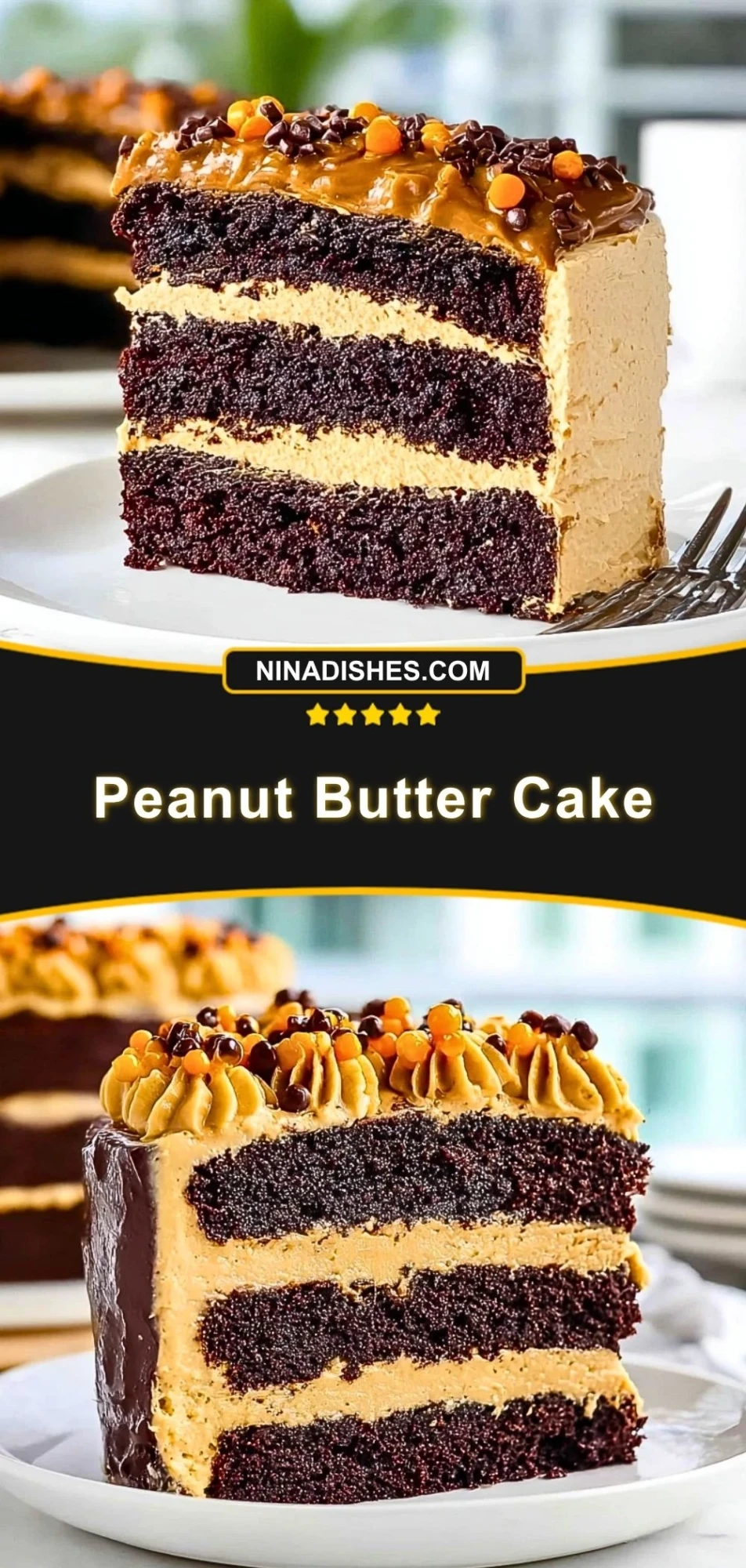 Peanut Butter Cake (3)