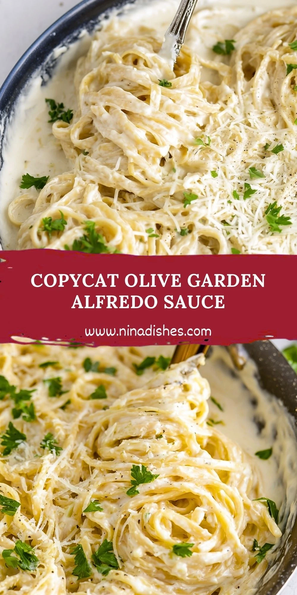 Copycat Olive Garden Alfredo Sauce (2)